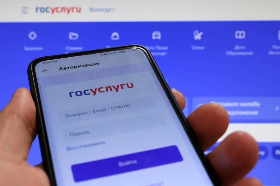 Министерство цифрового развития Чувашской Республики запустило четыре новых электронных госуслуги